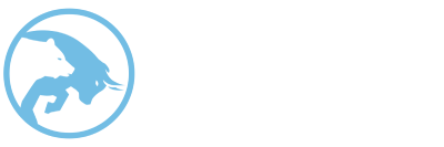 NISMF